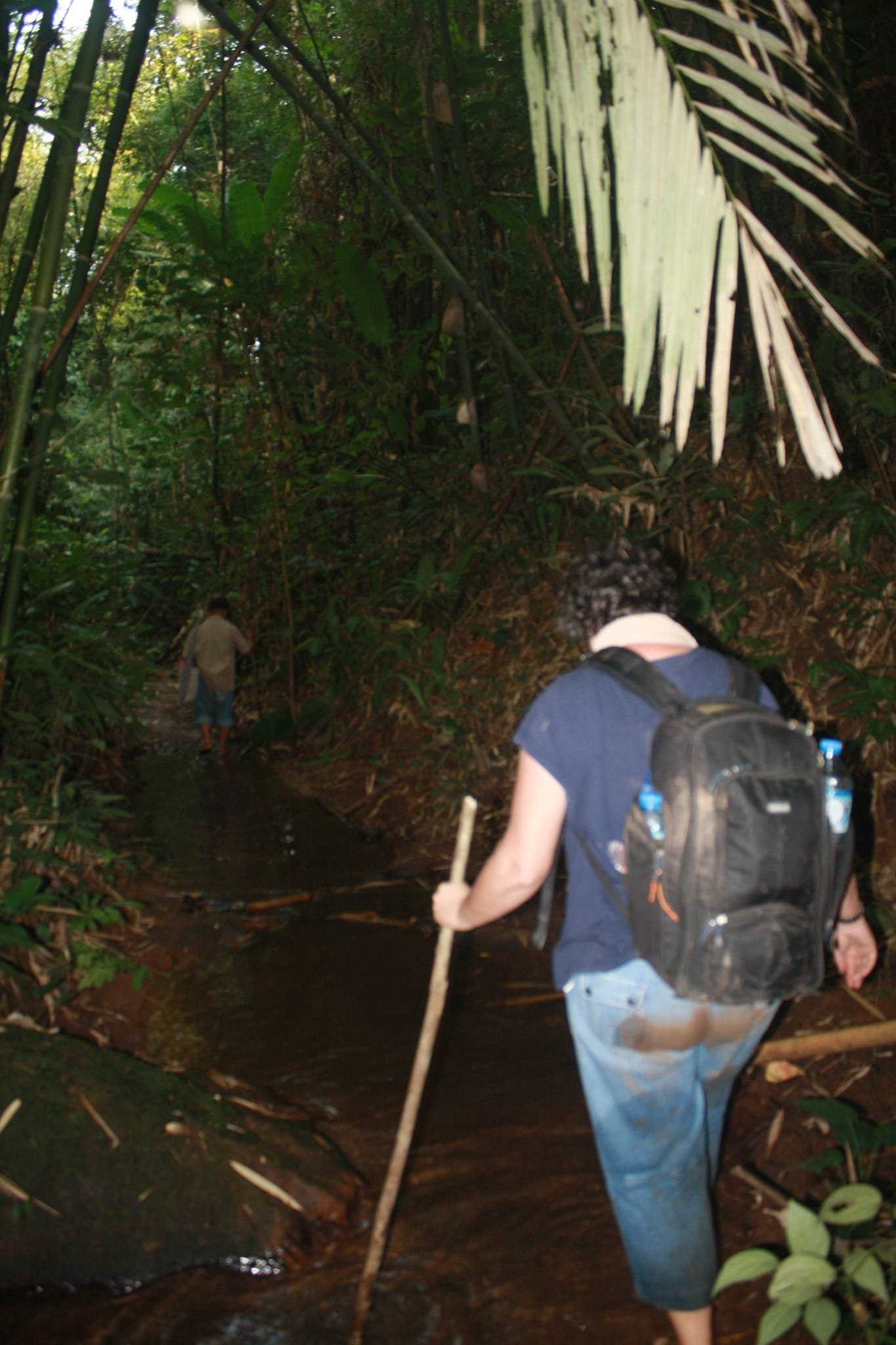 3 Days Hike In Dam Sopngam Peryanxangmai Peryenxangkao Nam Porxang - Chakhampa